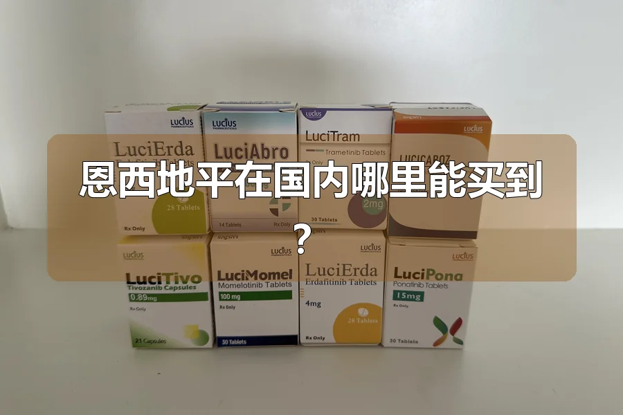 恩西地平在国内哪里能买到？